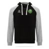 SWEAT COTON CAPUCHE - R1058 - JS ASTERIENNE
