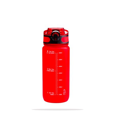 GOURDE PCTG TRANSLUCIDE 750ml - R1579 - ES EYSINAISE BASKET